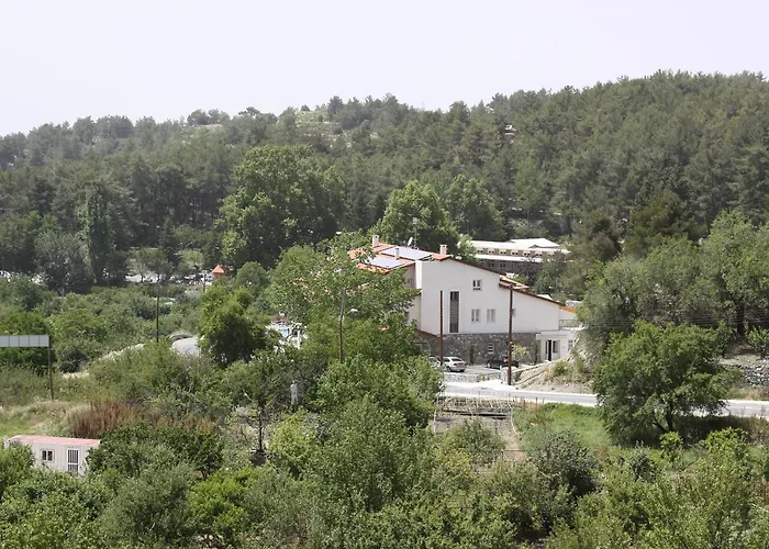 Livadia 3* Kyperounda